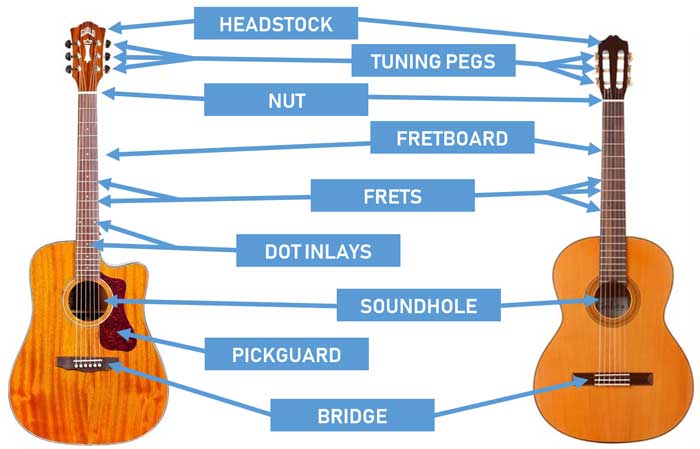مخطط أجزاء الجيتار الاكوستيك
